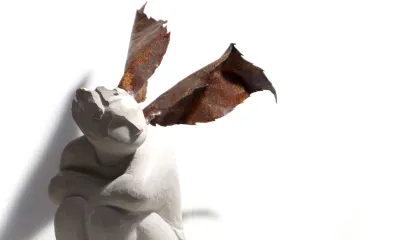 Quando for grande quero ser um passaro - content 10