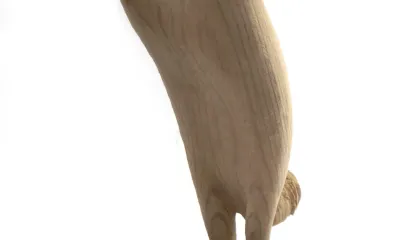 Quando for grande quero ser um passaro - content 28