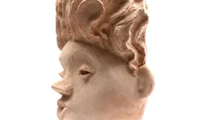 Quando for grande quero ser um passaro - content 37