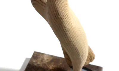 Quando for grande quero ser um passaro - content 42