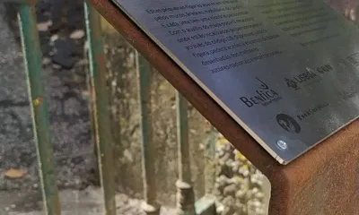 STORYTELLERS BD - content 1