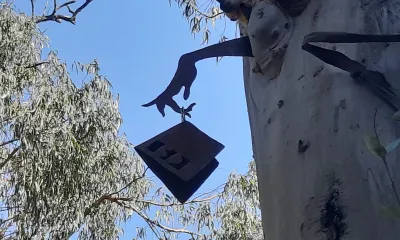 STORYTELLERS BD - content 5