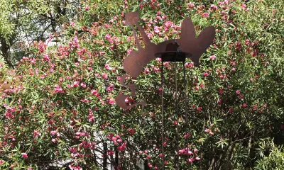 STORYTELLERS BD - content 6