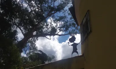 STORYTELLERS BD - content 12